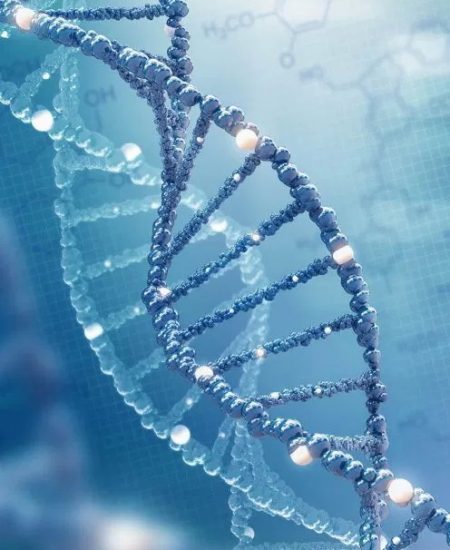 dna-800x1000-odk9fhrqk4tsfq15t9tcktbs29rgrqbvf30z7uvjsw
